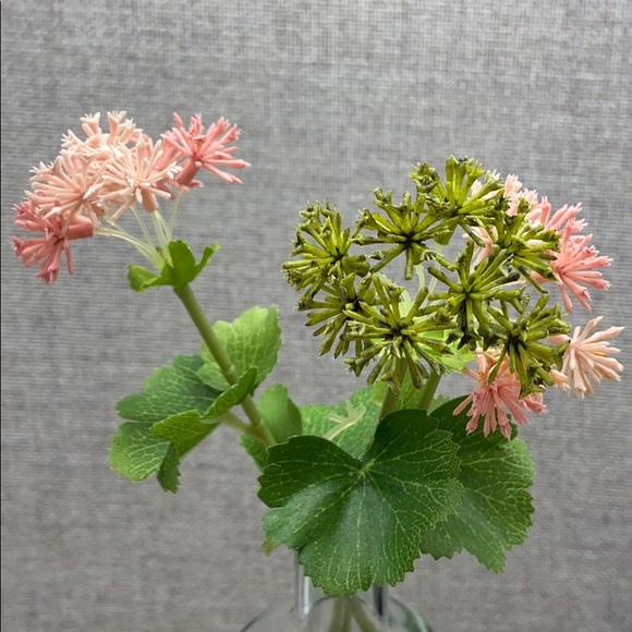 Meet your Posher, Lynn - Picture 1 of 1